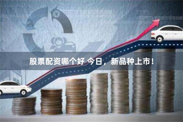 股票配资哪个好 今日，新品种上市！
