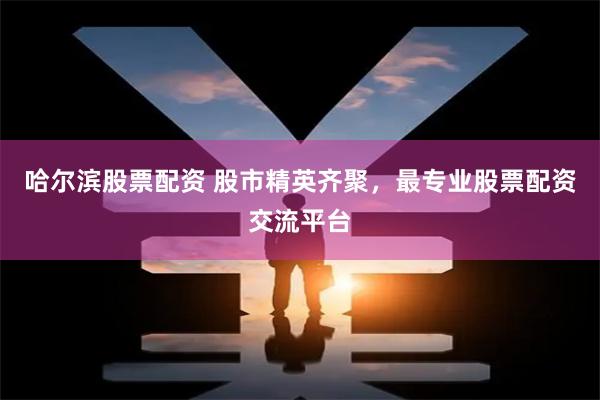 哈尔滨股票配资 股市精英齐聚，最专业股票配资交流平台