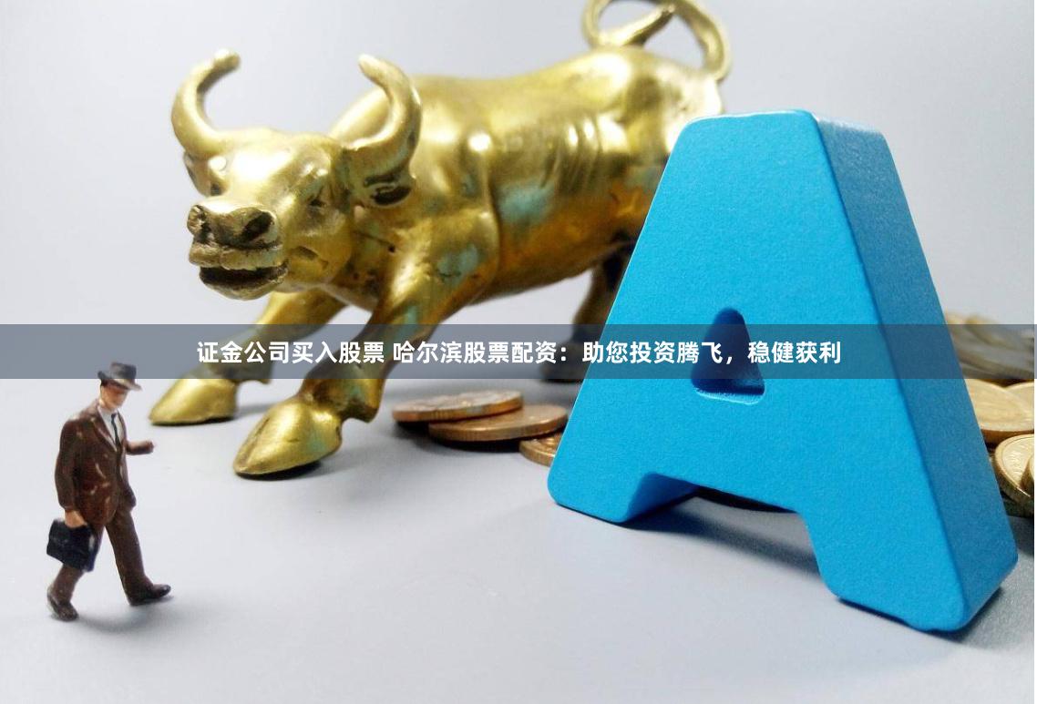 证金公司买入股票 哈尔滨股票配资：助您投资腾飞，稳健获利